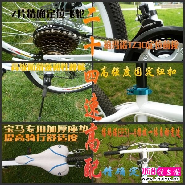 psbCA6QP225.jpg