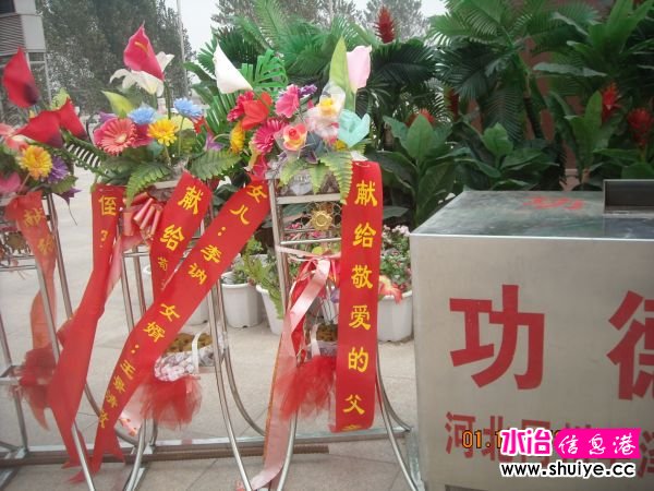 DSCN4611.JPG
