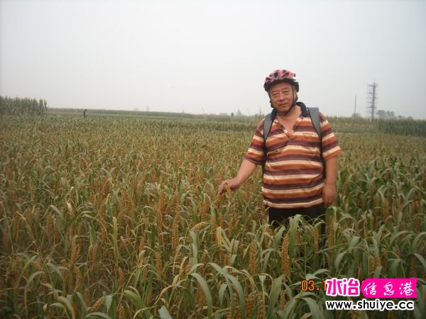 DSCN4711.JPG