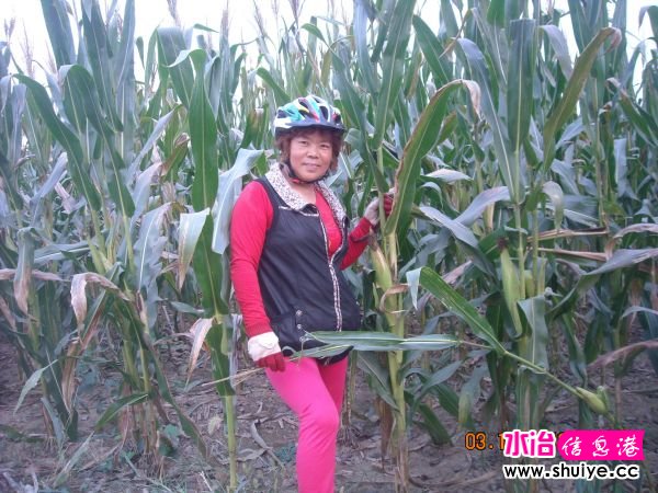DSCN4712.JPG