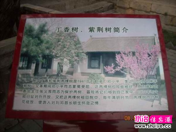 DSCN5447.JPG