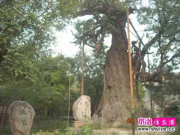 DSCN5489.JPG