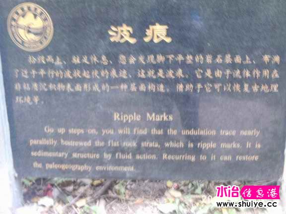 PHOT5319.JPG