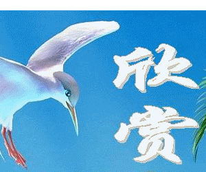 63add688d43f8794cb520d73d31b0ef41ad53a22.gif