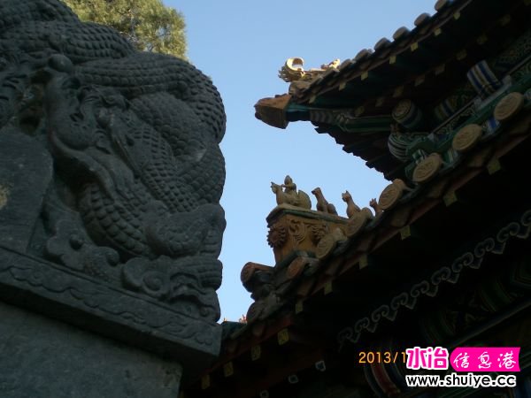 CIMG9720.JPG