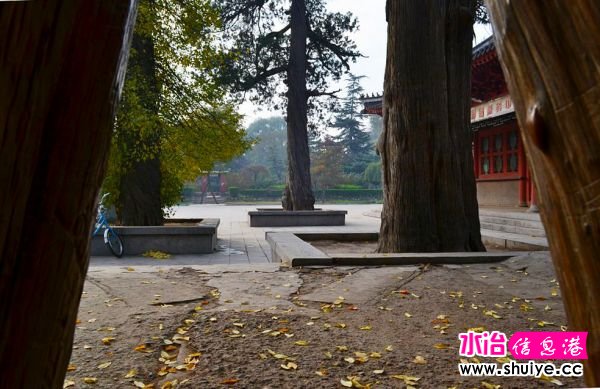 DSC_0340_01.JPG