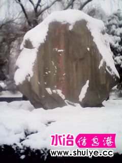 IMG_20140206_100430.jpg
