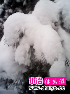 IMG_20140206_100446.jpg