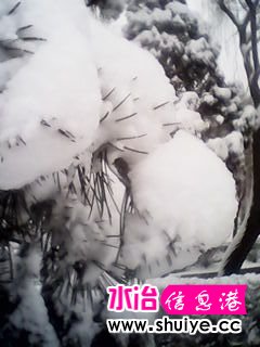 IMG_20140206_100456.jpg