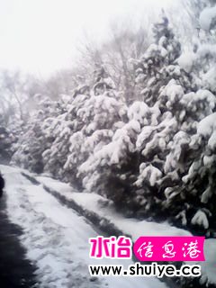 IMG_20140206_100537.jpg