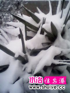 IMG_20140206_100702.jpg