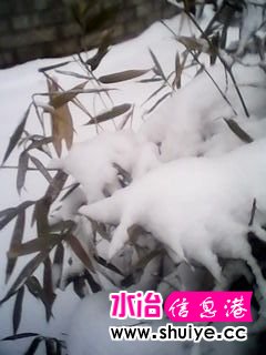 IMG_20140206_100715.jpg