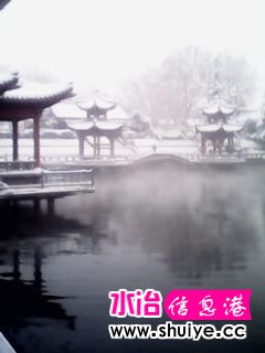 IMG_20140206_100833.jpg