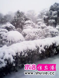 IMG_20140206_101157.jpg
