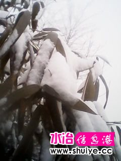 IMG_20140206_101509.jpg