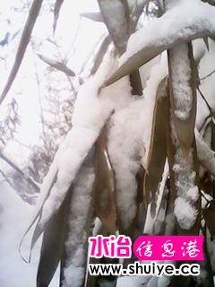 IMG_20140206_101515.jpg