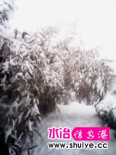 IMG_20140206_101531.jpg