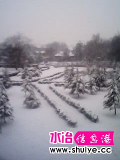 IMG_20140206_102158.jpg