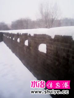 IMG_20140206_102210.jpg
