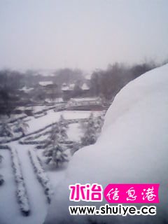IMG_20140206_102439.jpg