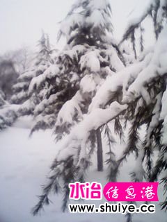 IMG_20140206_102655.jpg