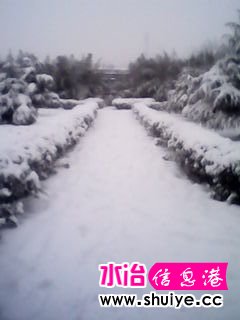 IMG_20140206_102755.jpg