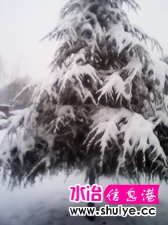 IMG_20140206_102809.jpg