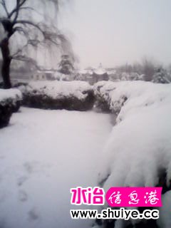 IMG_20140206_102854.jpg