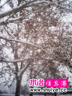 IMG_20140206_102922.jpg