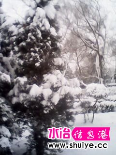 IMG_20140206_102935.jpg