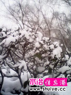 IMG_20140206_102947.jpg