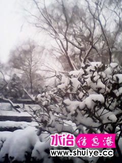 IMG_20140206_102955.jpg