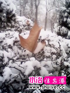IMG_20140206_103011.jpg