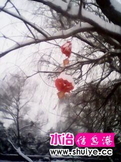 IMG_20140206_103037.jpg