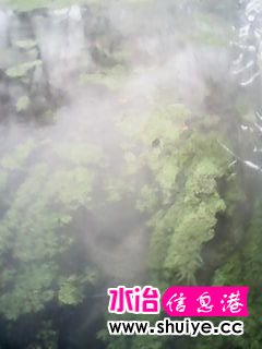 IMG_20140206_103109.jpg