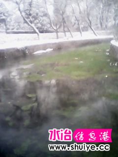 IMG_20140206_103119.jpg