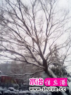 IMG_20140206_103141.jpg