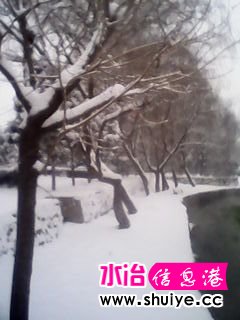 IMG_20140206_103151.jpg
