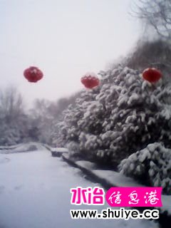 IMG_20140206_103213.jpg