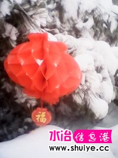 IMG_20140206_103306.jpg