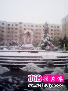 IMG_20140206_103613.jpg