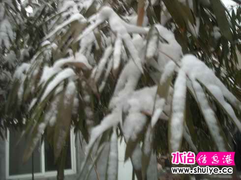 DSCN6715.JPG