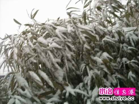 DSCN6710.JPG