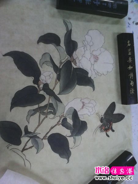 QQͼƬ20140220180748.jpg