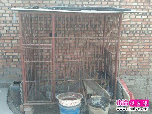 QQͼƬ20140324105759.jpg