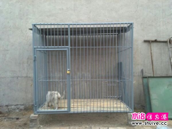 QQͼƬ20140324105808.jpg