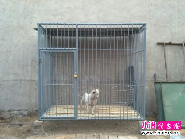 QQͼƬ20140324105822.jpg