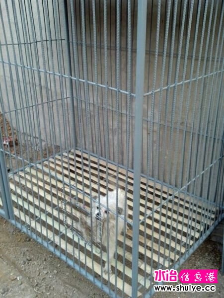 QQͼƬ20140324105843.jpg