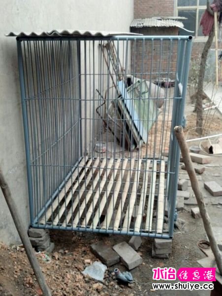 QQͼƬ20140324105855.jpg