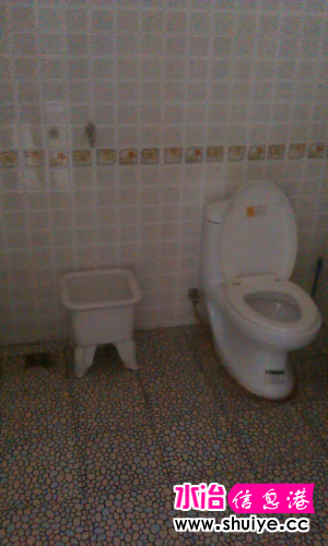 IMAG1041.jpg